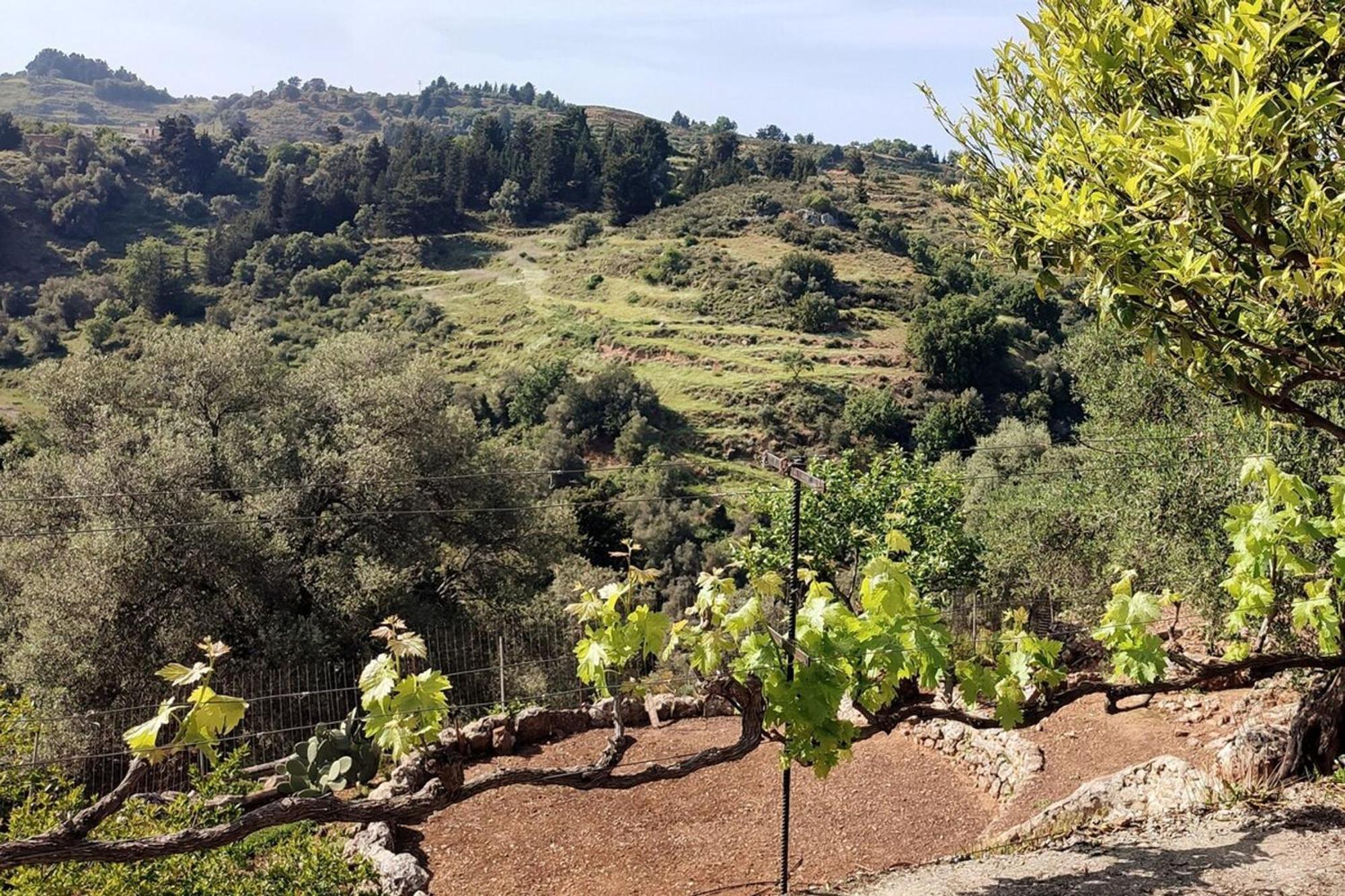 Loulos Aoria Traditional House With Stuning Mountain View מראה חיצוני תמונה